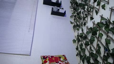 JKing  online show from 24, 1, 2025