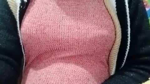 jasspreettt online show from 4, 1, 2025