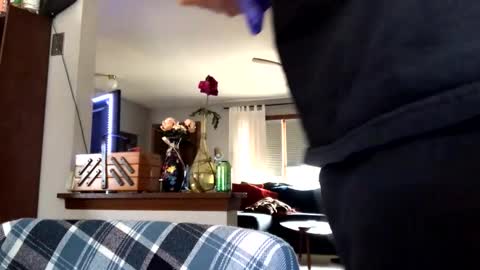 Jaws  online show from 4, 3, 2026