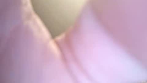 jay56777543234 online show from 8, 2, 2026
