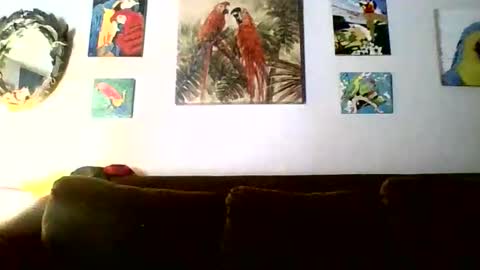 Snapshot of jay_jay1475 chatting on 18, 2, 2026 jay-jay1475 online show from 18, 2, 2026