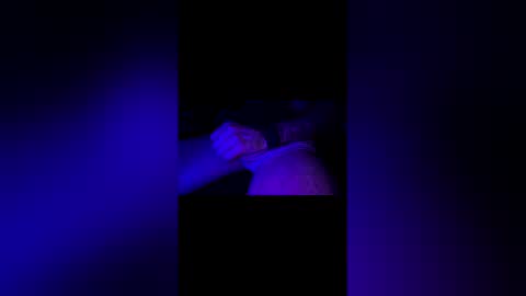 Jaysobricked online show from 17, 5, 2026