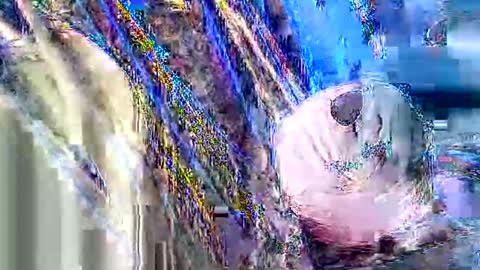 jcfoxx0920 online show from 3, 10, 2025