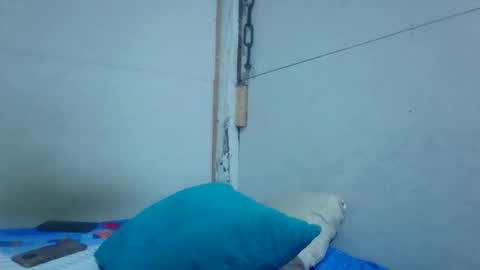 jdrake27 online show from 24, 11, 2025