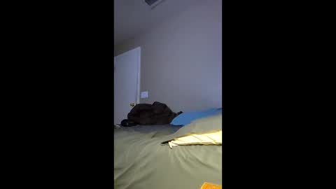 jdtripp15 online show from 15, 2, 2026