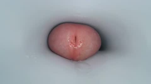 jeffrodgerschaturbat online show from 30, 12, 2024