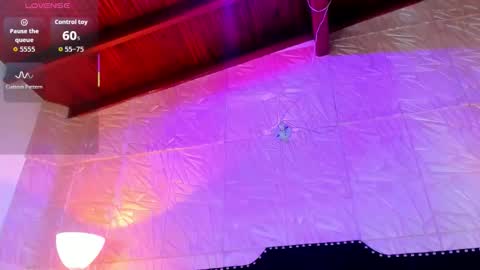  Jenny  online show from 17, 2, 2026