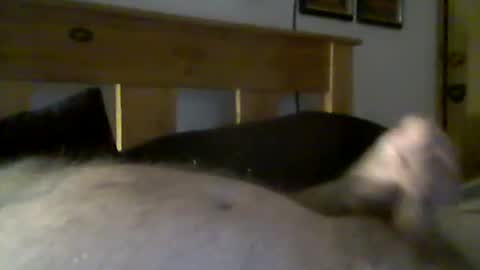 jerkmate6666 online show from 15, 3, 2026