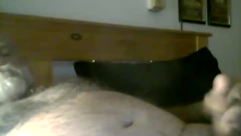 Snapshot of jerkmate6666 chatting on 3, 5, 2026 jerkmate6666 online show from 3, 5, 2026