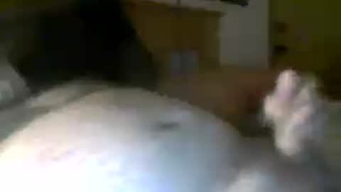 jerkmate6666 online show from 20, 7, 2026