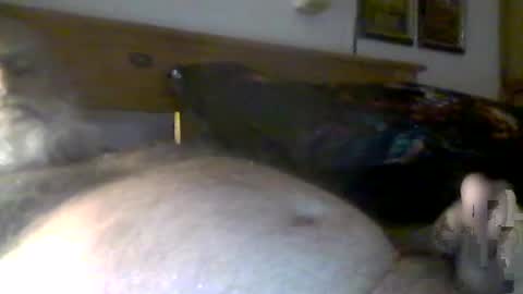 jerkmate6666 online show from 26, 7, 2026