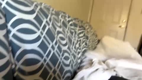 Snapshot of jerkstar16 chatting on 5, 12, 2024 Jerkstar16 online show from 5, 12, 2024