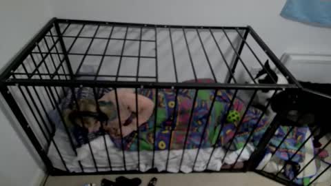 Snapshot of jesdoingnsfw chatting on 17, 3, 2026 jesdoingnsfw online show from 17, 3, 2026