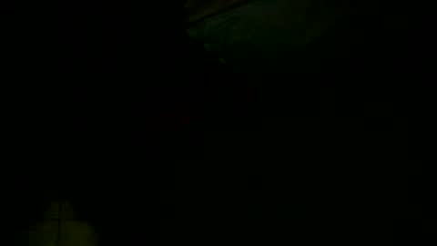 Snapshot of jessicarabbits4 chatting on 16, 12, 2024 dovedianna online show from 16, 12, 2024