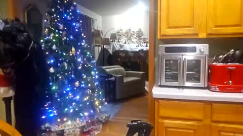 seductress Cyber Succubus online show from 18, 12, 2025