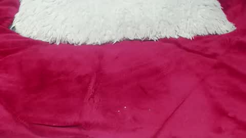 jessy online show from 25, 11, 2025