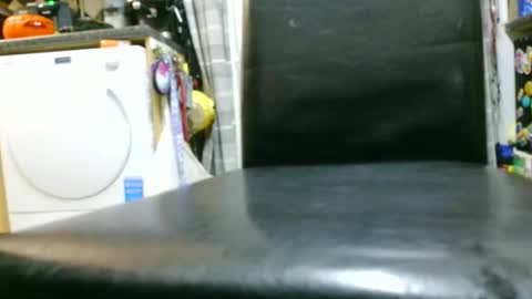 jez619 online show from 4, 11, 2025