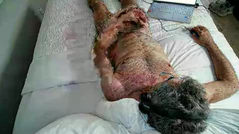 jimjimjim2633 online show from 2, 4, 2026