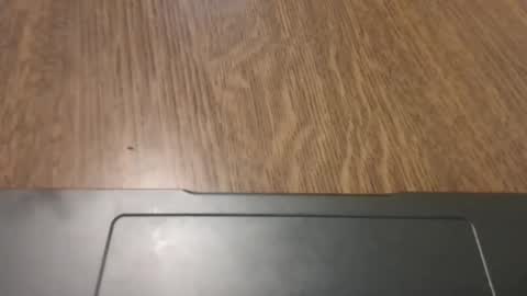 jin16000 online show from 29, 10, 2025