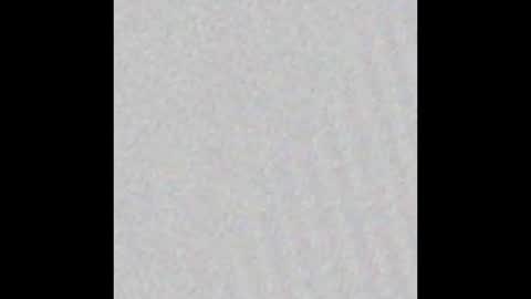 Snapshot of jinscreet chatting on 20, 2, 2025 jinscreet online show from 20, 2, 2025