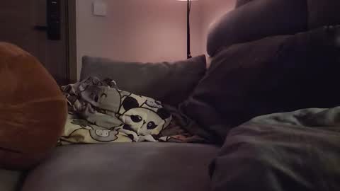 Snapshot of jj_jayjayq chatting on 8, 2, 2026 jj_jayjayq online show from 8, 2, 2026