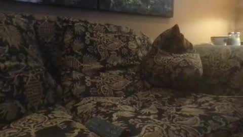 jlk7777 online show from 25, 2, 2025