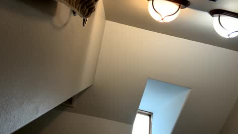 Snapshot of jlovindemsm chatting on 3, 2, 2025 Jimmy online show from 3, 2, 2025