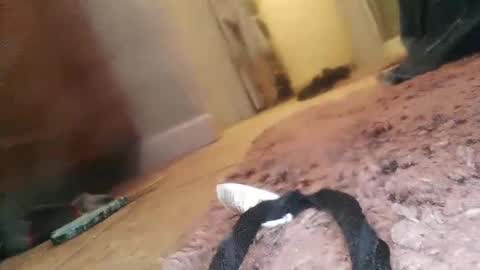 Snapshot of jlovindemsm chatting on 23, 2, 2025 Jimmy online show from 23, 2, 2025