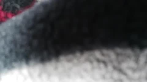 Snapshot of jlovindemsm chatting on 23, 2, 2025 Jimmy online show from 23, 2, 2025