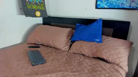 Snapshot of joalremu11_ink chatting on 26, 2, 2026 ale online show from 26, 2, 2026