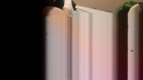 jocmyv9wokry online show from 20, 2, 2026