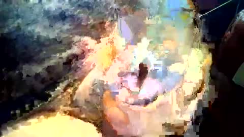 joedunbar61 online show from 17, 9, 2025