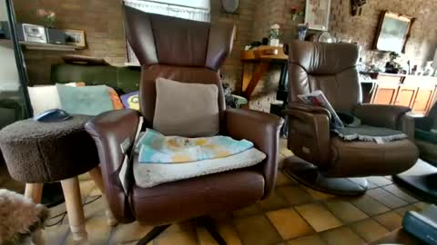 johan7 heet online show from 24, 7, 2026
