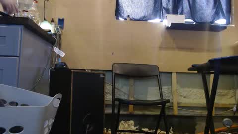 johnplayer23 online show from 22, 12, 2025