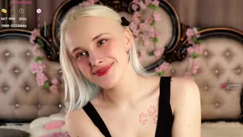 Alice online show from 26, 4, 2026