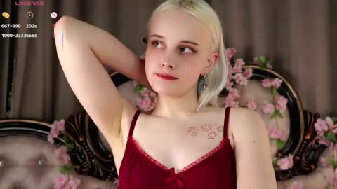 Alice online show from 29, 4, 2026