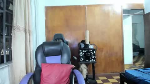 Snapshot of joseph_god chatting on 28, 10, 2025 MR OAK online show from 28, 10, 2025