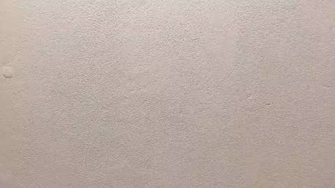 joseph palacios online show from 13, 9, 2025