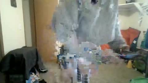 sissy josphine online show from 3, 3, 2026