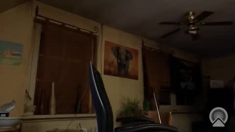 Snapshot of jott604214 chatting on 8, 3, 2026 jott604214 online show from 8, 3, 2026