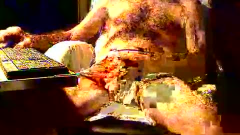 joystik4u60 online show from 2, 11, 2025