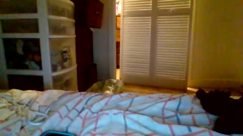 Snapshot of juicylatinabbw chatting on 13, 5, 2026 juicylatinabbw online show from 13, 5, 2026