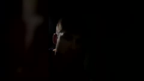 Snapshot of jul061007 chatting on 15, 3, 2026 jul061007 online show from 15, 3, 2026