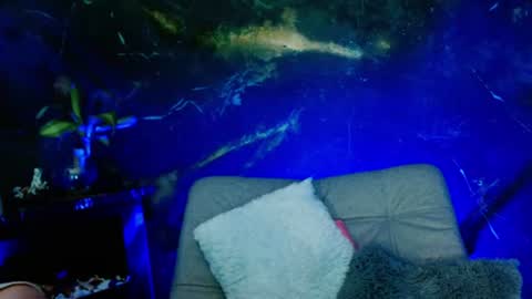    online show from 26, 6, 2026