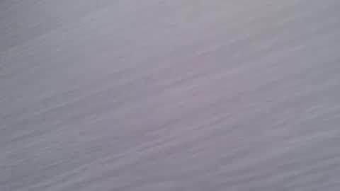 JuanAn online show from 9, 1, 2026