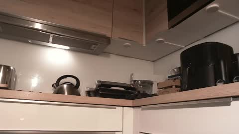 Gregor online show from 28, 12, 2024