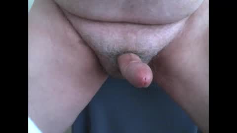 jungle64 online show from 7, 3, 2026