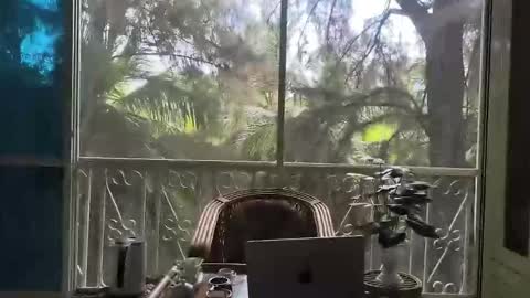 just_place online show from 2, 12, 2025