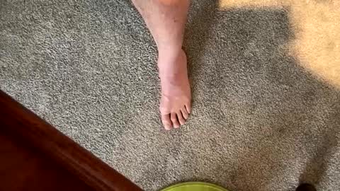 justanudedude online show from 5, 12, 2024