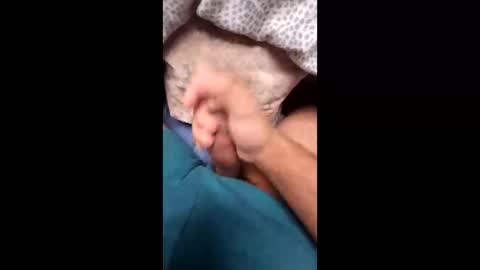 justingodla20 online show from 20, 9, 2025